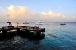 Bonaire Diving Holiday